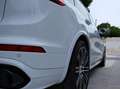 Porsche Cayenne Cayenne GTS Aut. Blanco - thumbnail 25