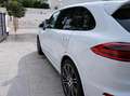 Porsche Cayenne Cayenne GTS Aut. Blanco - thumbnail 24