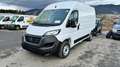 Fiat Ducato series 9 Ducato Kastenwagen L2H2 3000 Netto Weiß - thumbnail 4