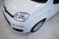 Fiat Panda 1.2 Easy s&s 69cv my19 - thumbnail 15