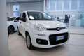 Fiat Panda 1.2 Easy s&s 69cv my19 - thumbnail 16