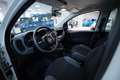 Fiat Panda 1.2 Easy s&s 69cv my19 - thumbnail 5