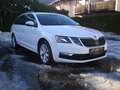 Skoda Octavia Ambition Limited Weiß - thumbnail 7