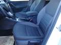 Skoda Octavia Ambition Limited Weiß - thumbnail 12