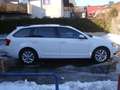 Skoda Octavia Ambition Limited Weiß - thumbnail 6