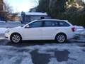 Skoda Octavia Ambition Limited Weiß - thumbnail 2