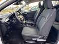 Ford Fiesta Trend,KLIMA,SCHECKHEFT Weiß - thumbnail 26