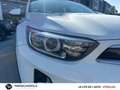 Kia Stonic 1.0 T-GDi 100ch Active Blanc - thumbnail 10