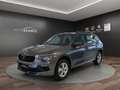 Skoda Kamiq Selection 1.0 TSI  DSG KESSY AHK RFK PDC V+H Grau - thumbnail 1