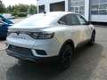Renault Arkana Esprit Alpine,Klima,Navi,PDC,Kam,Sitz,19Z Alb - thumbnail 12