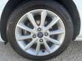 Ford Fiesta 5p 1.1 Titanium 85cv Bianco - thumbnail 12