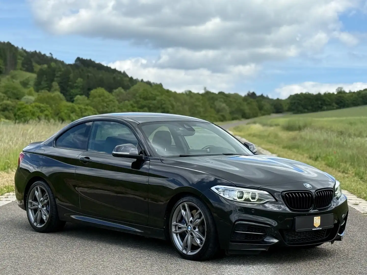 BMW 235 /M-PerfAGA/Alpine/Conn.Drive/Bi-Xenon/ Negro - 2