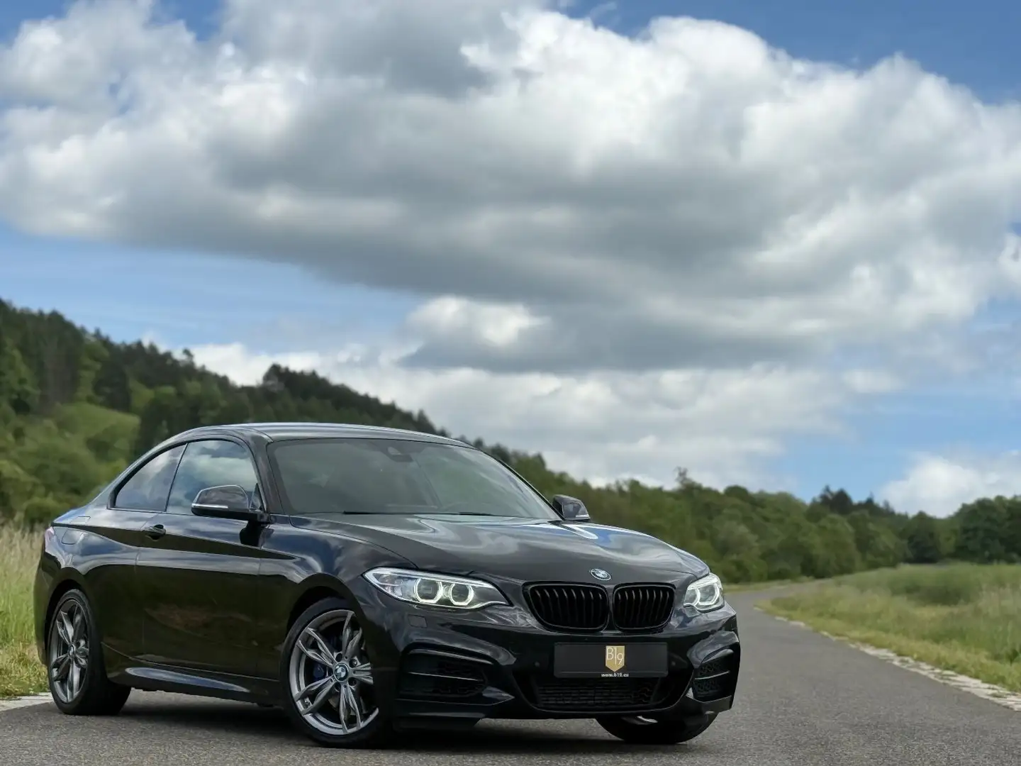 BMW 235 /M-PerfAGA/Alpine/Conn.Drive/Bi-Xenon/ Negro - 1