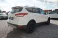 Ford Kuga 2.0 TDCi 4x4 Titanium |Winter-Paket| |LED| Wit - thumbnail 7