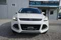 Ford Kuga 2.0 TDCi 4x4 Titanium |Winter-Paket| |LED| Wit - thumbnail 3