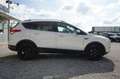 Ford Kuga 2.0 TDCi 4x4 Titanium |Winter-Paket| |LED| Wit - thumbnail 12
