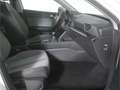 SEAT Leon Sportstourer 1.5 TSI Style 6-Gg. AHK/LED/SH Weiß - thumbnail 10