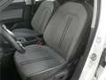 SEAT Leon Sportstourer 1.5 TSI Style 6-Gg. AHK/LED/SH Weiß - thumbnail 15
