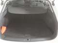 SEAT Leon Sportstourer 1.5 TSI Style 6-Gg. AHK/LED/SH Weiß - thumbnail 11