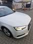 Audi A4 A4 Avant 2.0 TDi ULTRA Blanc - thumbnail 2