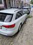 Audi A4 A4 Avant 2.0 TDi ULTRA Blanc - thumbnail 5
