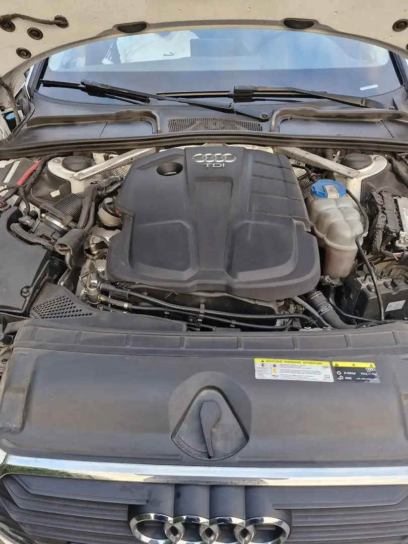 Audi A4 A4 Avant 2.0 TDi ULTRA Blanc - 1