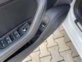 Audi A4 35 TDI S-tronic S-line *STANDHZ*RFK*APP*ACC*NAVI* Weiß - thumbnail 13