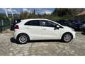 Kia Rio Rio III 1.2 85cv Style Blanc - thumbnail 8