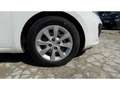 Kia Rio Rio III 1.2 85cv Style Weiß - thumbnail 32