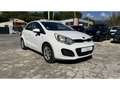 Kia Rio Rio III 1.2 85cv Style Weiß - thumbnail 1