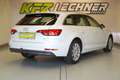 Audi A4 Avant 2.0 TDI S-tr. "sport" AHK*VIRTUAL*SITZH Weiß - thumbnail 4