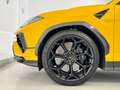 Lamborghini Urus Performante Amarillo - thumbnail 11