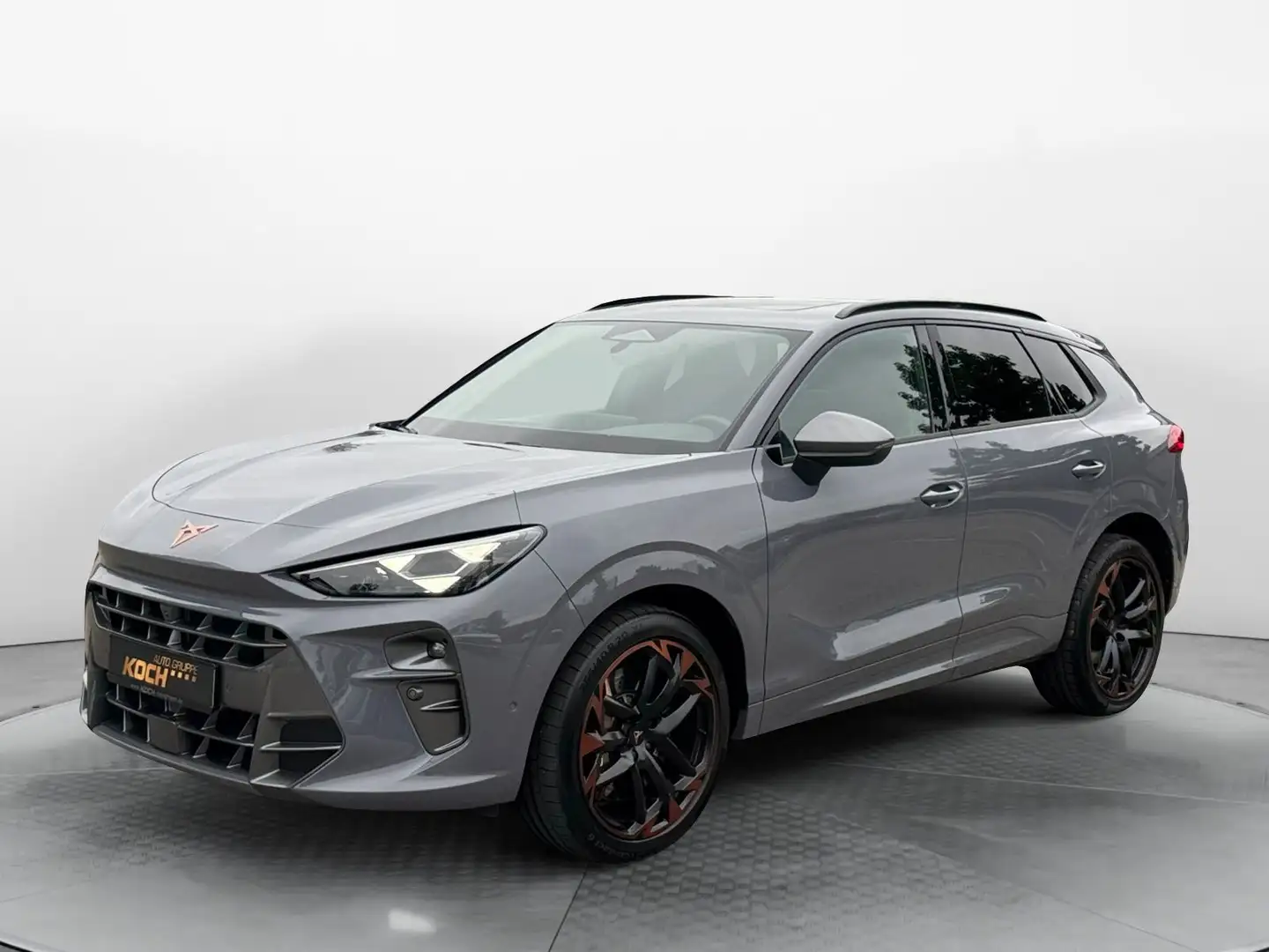 CUPRA Terramar 2.0 TSI VZ 4Drive TopView*Pano*Matrix*S Grau - 2