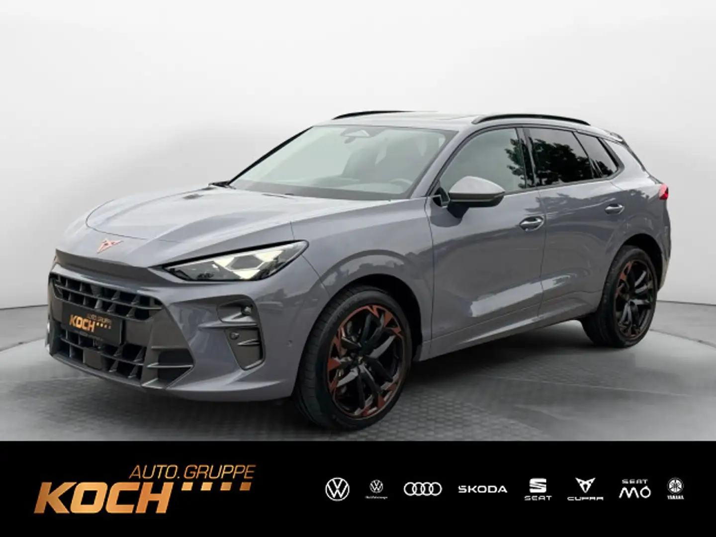 CUPRA Terramar 2.0 TSI VZ 4Drive TopView*Pano*Matrix*S Grau - 1