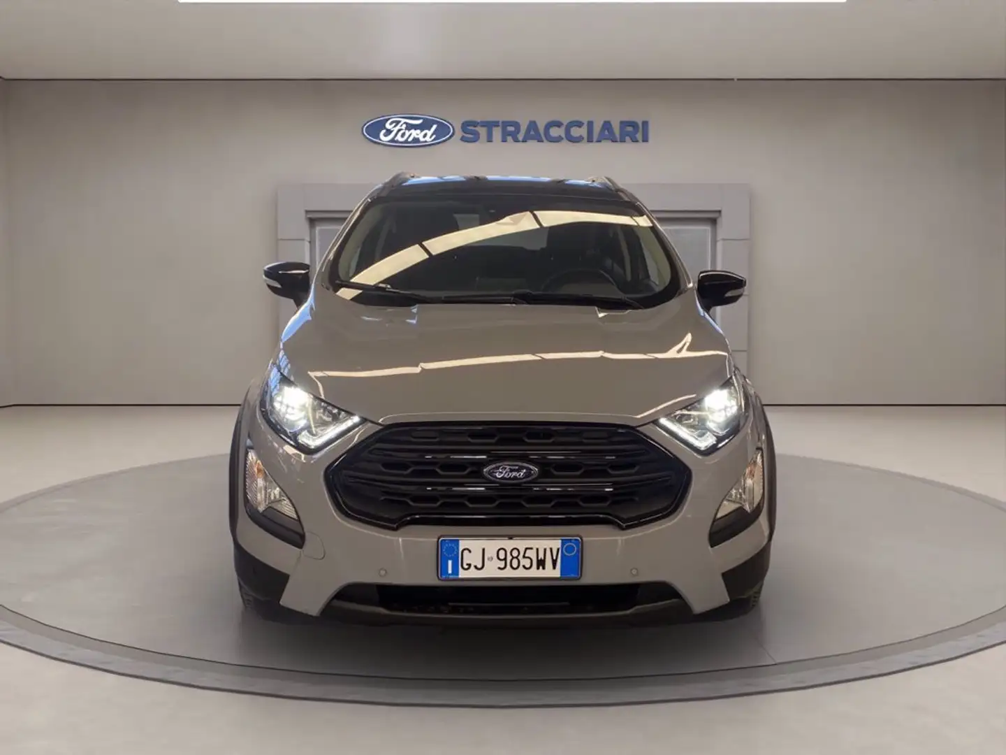 Ford EcoSport 1.0 ecoboost Active s&s 125cv Gris - 2
