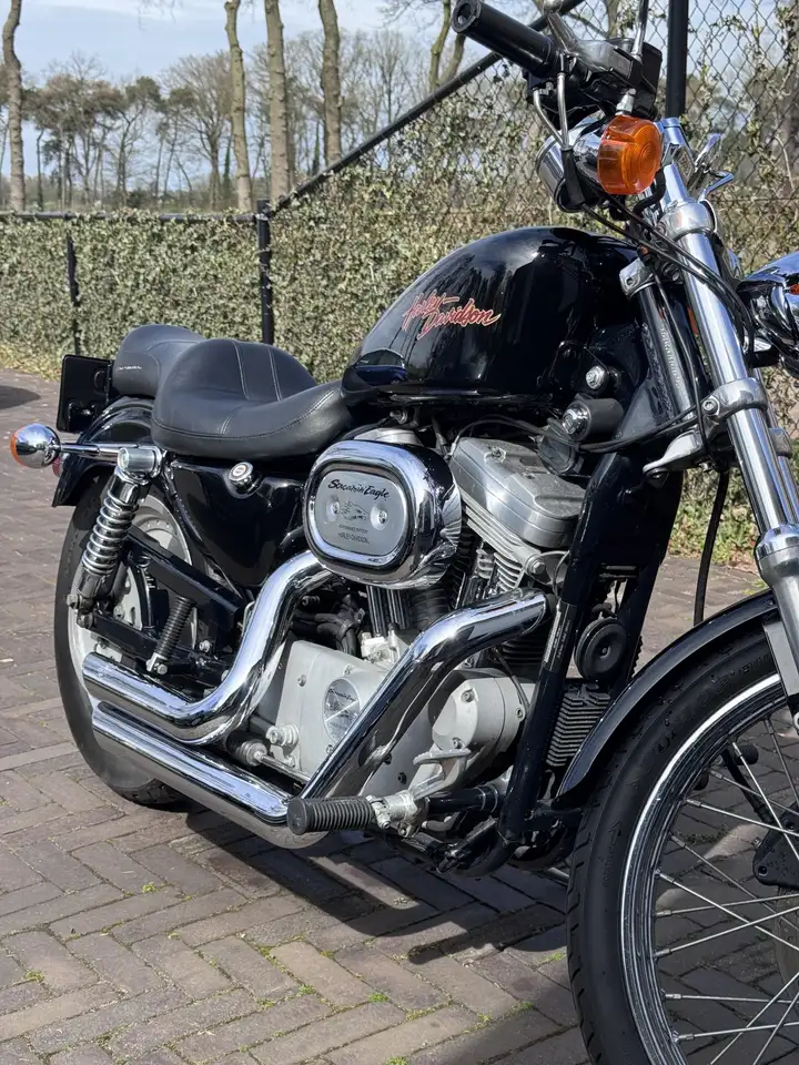 Harley-Davidson XL 883