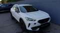 CUPRA Formentor 1.5 TSI DSG VIrtual/ACC/K-less/AHK/19 Weiß - thumbnail 2