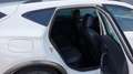 CUPRA Formentor 1.5 TSI DSG VIrtual/ACC/K-less/AHK/19 Weiß - thumbnail 8