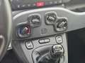 Fiat Panda 1.0 FireFly S&S Hybrid da €119,00 mensili Grigio - thumbnail 13