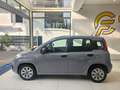 Fiat Panda 1.0 FireFly S&S Hybrid da €119,00 mensili Grigio - thumbnail 3