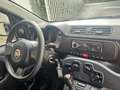 Fiat Panda 1.0 FireFly S&S Hybrid da €119,00 mensili Grigio - thumbnail 9