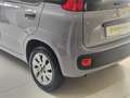 Fiat Panda 1.0 FireFly S&S Hybrid da €119,00 mensili Grigio - thumbnail 5