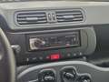 Fiat Panda 1.0 FireFly S&S Hybrid da €119,00 mensili Grigio - thumbnail 12