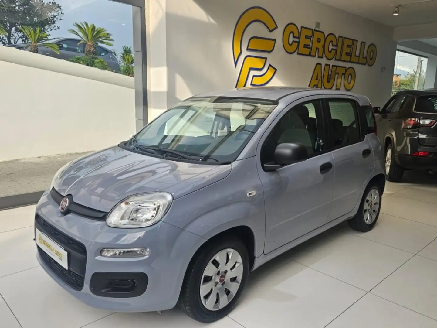 Fiat Panda 1.0 FireFly S&S Hybrid da €119,00 mensili Grigio - 2