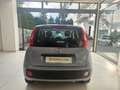 Fiat Panda 1.0 FireFly S&S Hybrid da €119,00 mensili Grigio - thumbnail 4