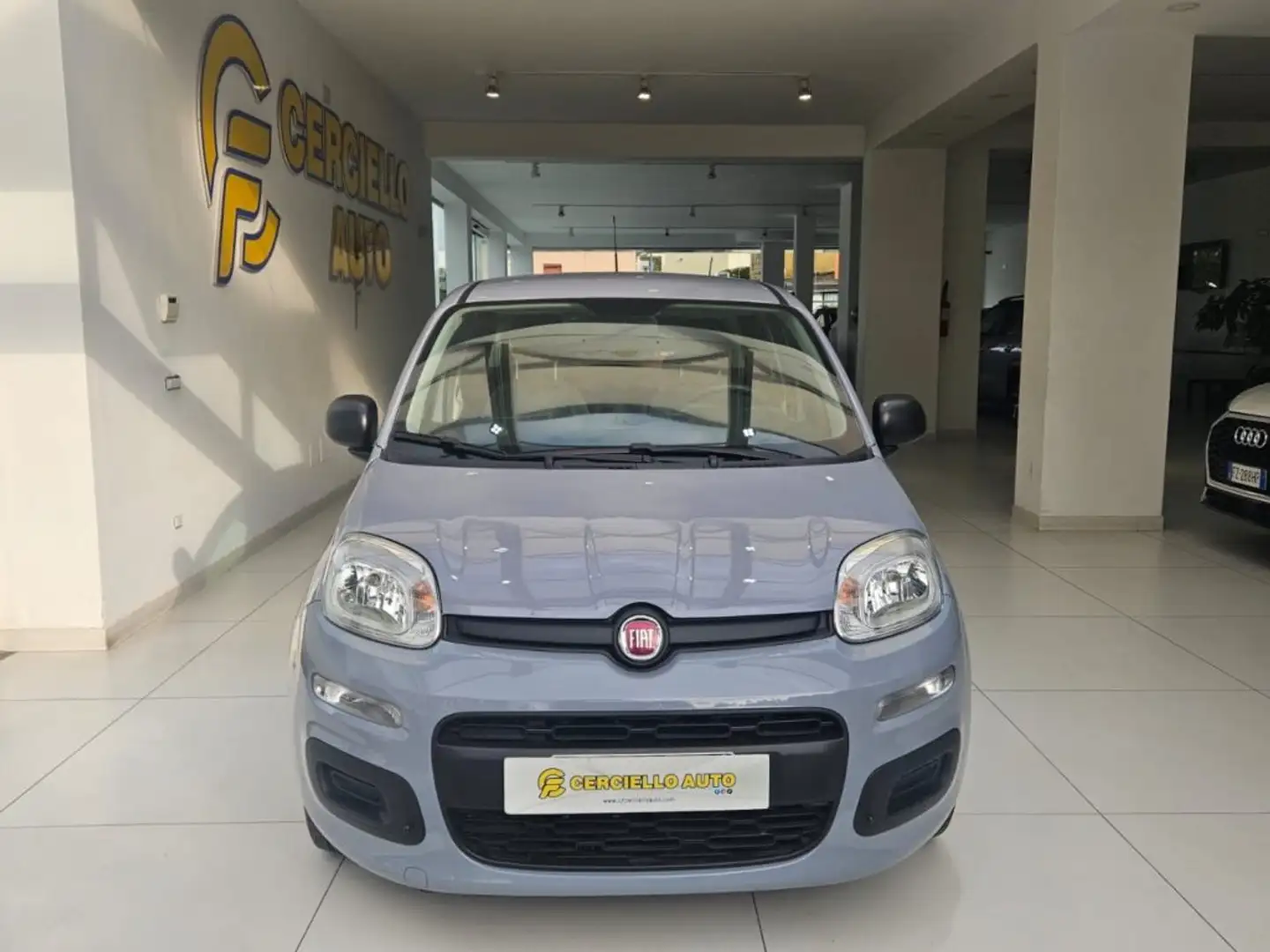 Fiat Panda 1.0 FireFly S&S Hybrid da €119,00 mensili Grigio - 1