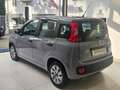 Fiat Panda 1.0 FireFly S&S Hybrid da €119,00 mensili Grigio - thumbnail 6