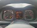 Fiat Panda 1.0 FireFly S&S Hybrid da €119,00 mensili Grigio - thumbnail 11