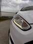 Ford Fiesta 1.0 EcoB. Sport Wit - thumbnail 4