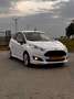 Ford Fiesta 1.0 EcoB. Sport Wit - thumbnail 1